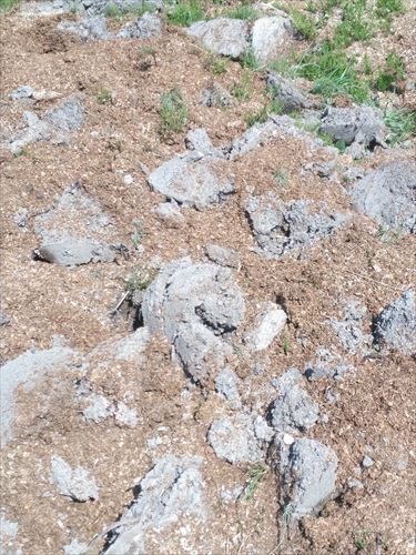 土作りその１ 粘土質の固い土には苦土石灰ではなくてカキ殻石灰で